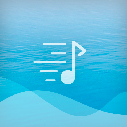 Easily Download Sea Chantey Printable PDF piano music notes, guitar tabs for Lead Sheet / Fake Book. Transpose or transcribe this score in no time - Learn how to play song progression.