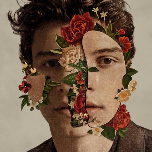 Easily Download Shawn Mendes Printable PDF piano music notes, guitar tabs for Guitar Lead Sheet. Transpose or transcribe this score in no time - Learn how to play song progression.