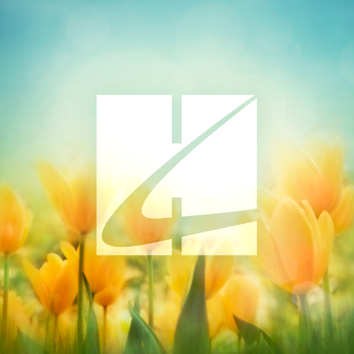 Easily Download Steve Nelson Printable PDF piano music notes, guitar tabs for Super Easy Piano. Transpose or transcribe this score in no time - Learn how to play song progression.