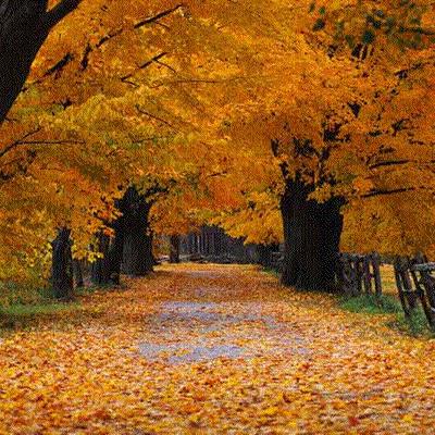 Easily Download Sven Lekberg Printable PDF piano music notes, guitar tabs for Piano & Vocal. Transpose or transcribe this score in no time - Learn how to play song progression.