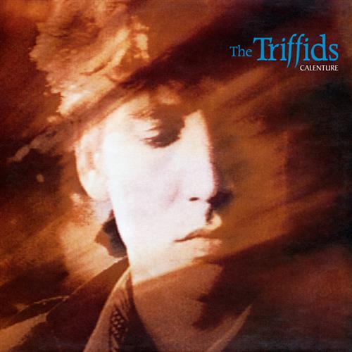 Easily Download The Triffids Printable PDF piano music notes, guitar tabs for Piano, Vocal & Guitar Chords (Right-Hand Melody). Transpose or transcribe this score in no time - Learn how to play song progression.