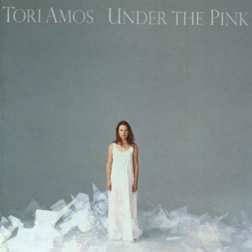 Easily Download Tori Amos Printable PDF piano music notes, guitar tabs for Flute Solo. Transpose or transcribe this score in no time - Learn how to play song progression.