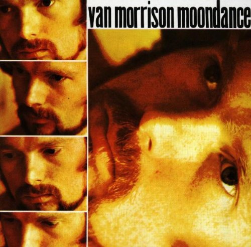 Easily Download Van Morrison Printable PDF piano music notes, guitar tabs for Easy Piano. Transpose or transcribe this score in no time - Learn how to play song progression.