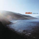 Incubus 'Are You In?'