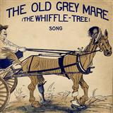 J. Warner 'The Old Gray Mare'