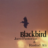 Jaco Pastorius & Rashid Ali 'Slang'