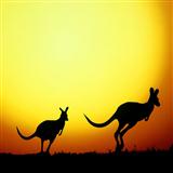 Janice Webb 'I'm Hoppity Hop The Kangaroo'