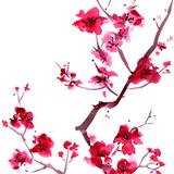 Japanese Folksong 'Sakura (Cherry Blossoms)'