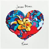 Jason Mraz 'More Than Friends (feat. Meghan Trainor)'