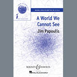 Jim Papoulis 'A World We Cannot See'