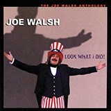 Joe Walsh 'All Night Long'