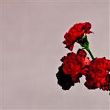 John Legend 'You And I (Nobody In The World)'