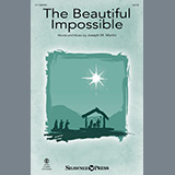 Joseph M. Martin 'The Beautiful Impossible'