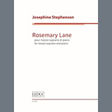 Josephine Stephenson 'Rosemary Lane'
