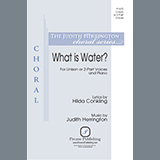 Judith Herrington 'What is Water?'