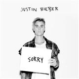 Justin Bieber 'Sorry (piano version)'