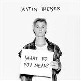 Justin Bieber 'What Do You Mean?'