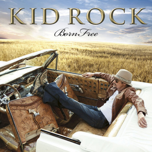 Easily Download Kid Rock Printable PDF piano music notes, guitar tabs for Guitar Lead Sheet. Transpose or transcribe this score in no time - Learn how to play song progression.