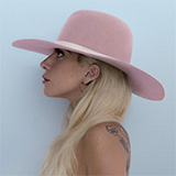 Lady Gaga 'Scheibe'