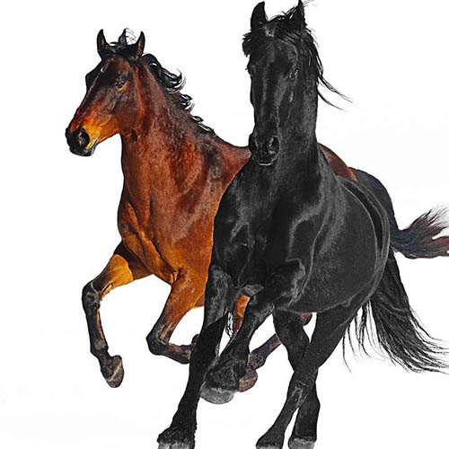 Easily Download Lil Nas X feat. Billy Ray Cyrus Printable PDF piano music notes, guitar tabs for Oboe Solo. Transpose or transcribe this score in no time - Learn how to play song progression.