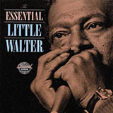 Little Walter 'Boom Boom (Out Go The Lights)'
