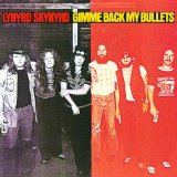 Lynyrd Skynyrd 'All I Can Do Is Write About It'
