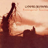 Lynyrd Skynyrd 'Down South Jukin''
