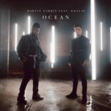 Martin Garrix 'Ocean (featuring Khalid)'