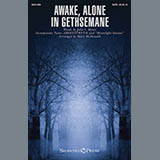 Mary McDonald 'Awake, Alone In Gethsemane'