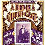 Maurice J. Gunsky 'A Bird In A Gilded Cage'