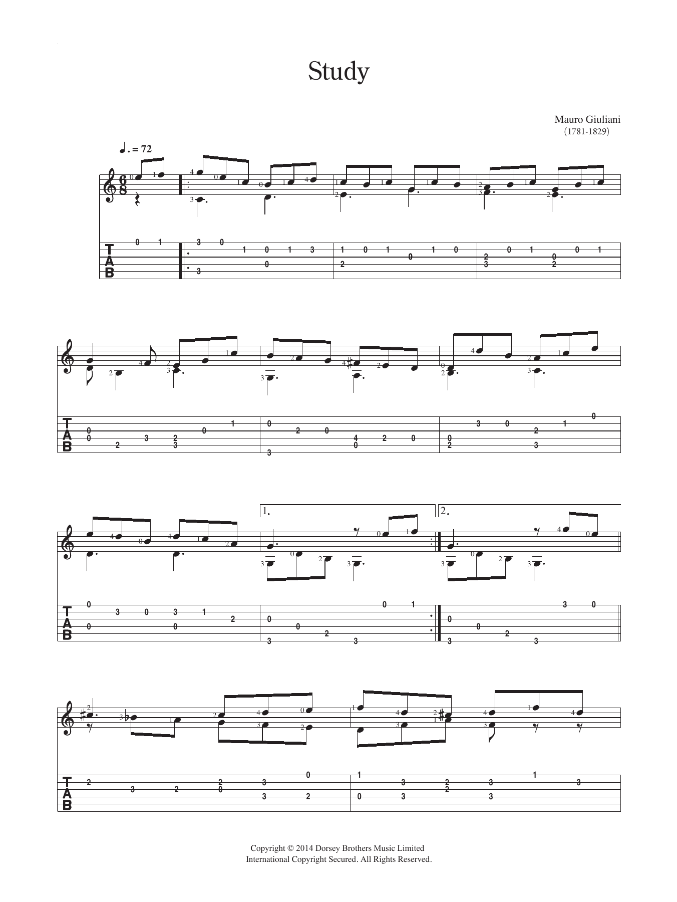 Mauro Giuliani Study Sheet Music