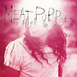 Meat Puppets 'Backwater'