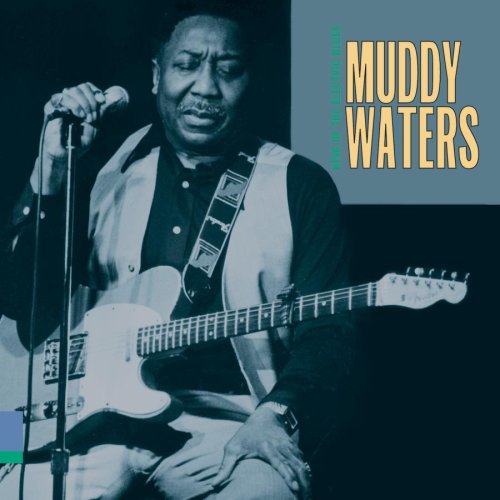 Easily Download Muddy Waters Printable PDF piano music notes, guitar tabs for Solo Guitar. Transpose or transcribe this score in no time - Learn how to play song progression.