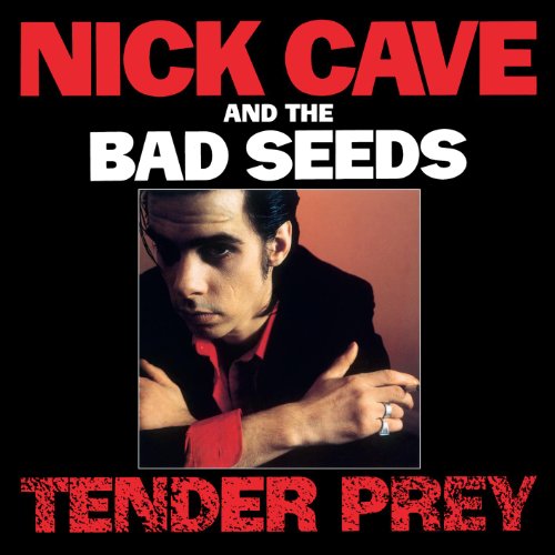 Easily Download Nick Cave & The Bad Seeds Printable PDF piano music notes, guitar tabs for Guitar Chords/Lyrics. Transpose or transcribe this score in no time - Learn how to play song progression.