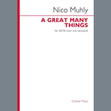 Nico Muhly 'A Great Many Things'