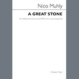 Nico Muhly 'A Great Stone'