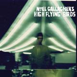 Noel Gallagher's High Flying Birds 'The Dying Of The Light'
