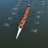 P. Guglielmo 'Rowing'