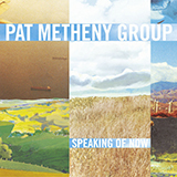 Pat Metheny 'Another Life'