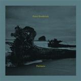 Peter Broderick 'Carried'