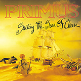 Primus 'Tommy The Cat'