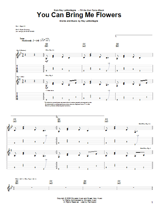 Ray LaMontagne You Can Bring Me Flowers Sheet Music