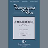 Richard Burchard 'A Red, Red Rose'