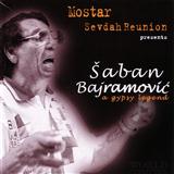 Saban Bajramovic 'Sila Kale Bal'