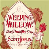 Scott Joplin 'Weeping Willow Rag'