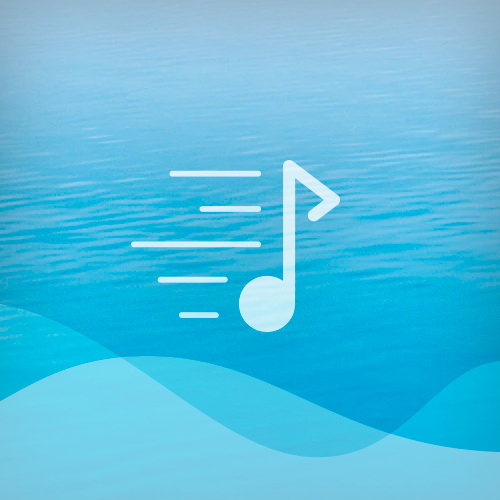 Easily Download Sea Chantey Printable PDF piano music notes, guitar tabs for 5-Finger Piano. Transpose or transcribe this score in no time - Learn how to play song progression.