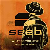 Seeb 'What Do You Love (featuring Jacob Banks)'