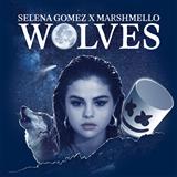 Selena Gomez & Marshmello 'Wolves'