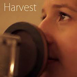 Shaina Taub 'Harvest'