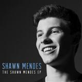 Shawn Mendes 'Life Of The Party'